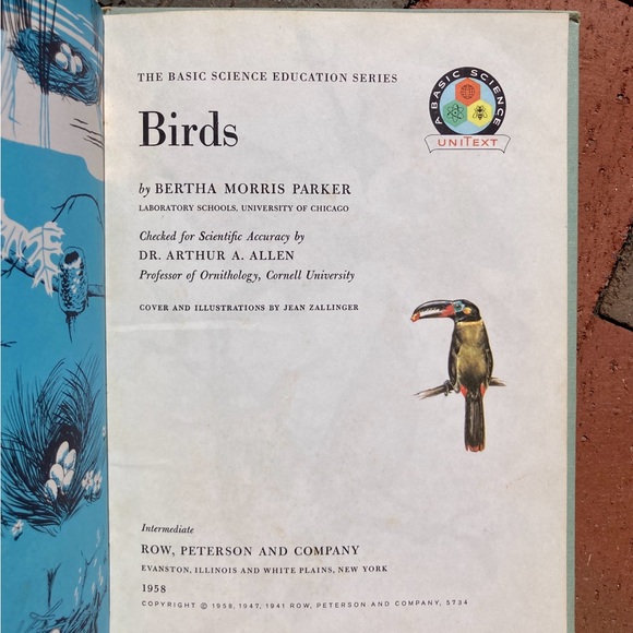 1958 Birds Cardinal Illustrated Picture Book Animal Bird Spring Toucan Animals - Picture 11 of 13